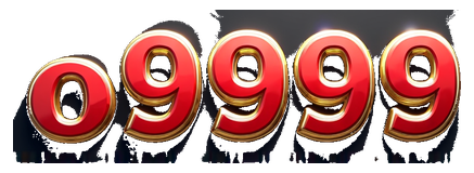 o9999 logo